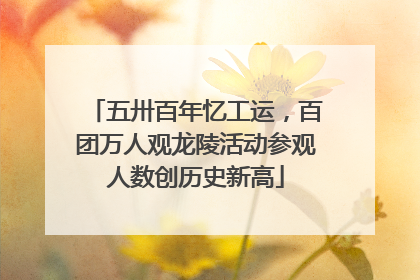五卅百年忆工运，百团万人观龙陵活动参观人数创历史新高
