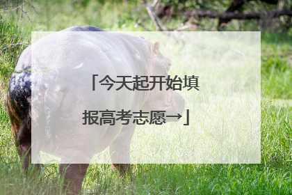 今天起开始填报高考志愿→