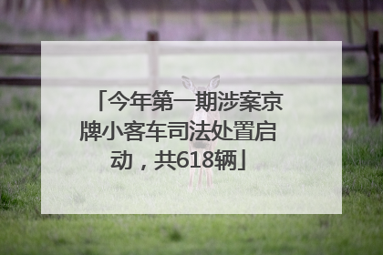 今年第一期涉案京牌小客车司法处置启动，共618辆