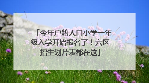 今年户籍人口小学一年级入学开始报名了！六区招生划片表都在这
