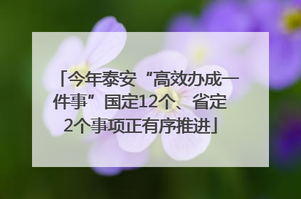 今年泰安“高效办成一件事”国定12个、省定2个事项正有序推进
