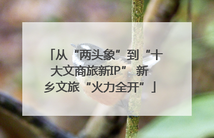 从“两头象”到“十大文商旅新IP” 新乡文旅“火力全开”