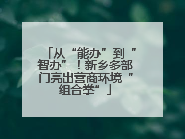 从“能办”到“智办”！新乡多部门亮出营商环境“组合拳”