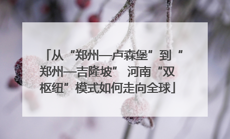 从“郑州—卢森堡”到“郑州—吉隆坡” 河南“双枢纽”模式如何走向全球