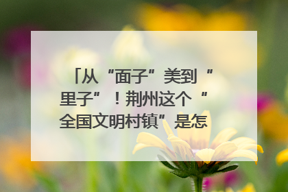 从“面子”美到“里子”！荆州这个“全国文明村镇”是怎样炼成的？