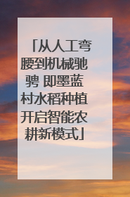 从人工弯腰到机械驰骋 即墨蓝村水稻种植开启智能农耕新模式