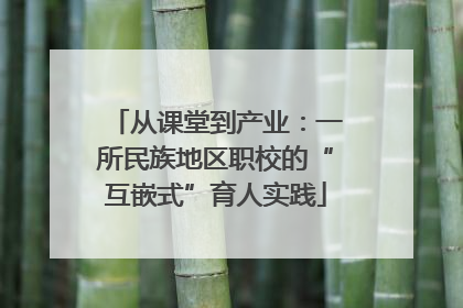从课堂到产业：一所民族地区职校的“互嵌式”育人实践