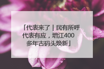 代表来了｜民有所呼代表有应，增江400多年古码头焕新