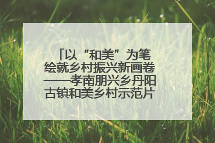 以“和美”为笔 绘就乡村振兴新画卷——孝南朋兴乡丹阳古镇和美乡村示范片区建设综述