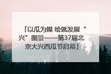 以瓜为媒 绘就发展“兴”图景——第37届北京大兴西瓜节启幕