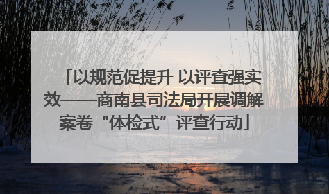以规范促提升 以评查强实效——商南县司法局开展调解案卷“体检式”评查行动