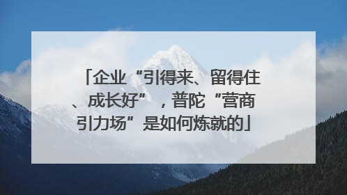 企业“引得来、留得住、成长好”，普陀“营商引力场”是如何炼就的