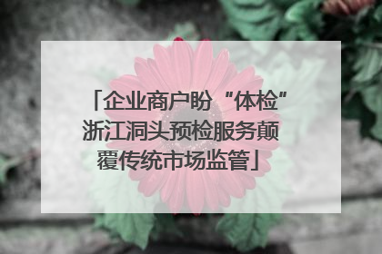 企业商户盼“体检” 浙江洞头预检服务颠覆传统市场监管
