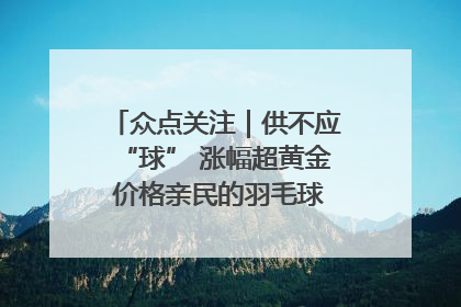众点关注｜供不应“球” 涨幅超黄金 价格亲民的羽毛球为何身价飞涨？