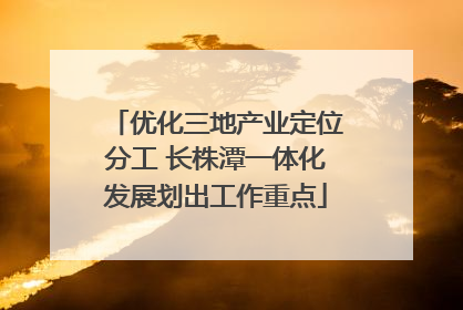 优化三地产业定位分工 长株潭一体化发展划出工作重点