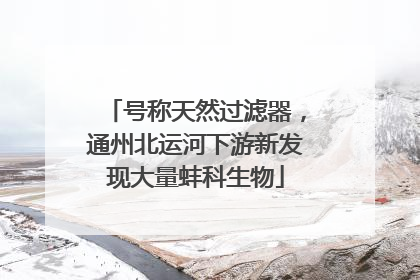 号称天然过滤器，通州北运河下游新发现大量蚌科生物