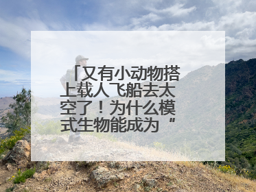 又有小动物搭上载人飞船去太空了！为什么模式生物能成为“探索代表”？
