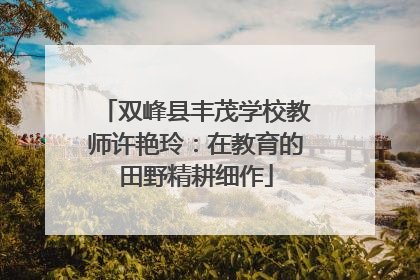 双峰县丰茂学校教师许艳玲：在教育的田野精耕细作