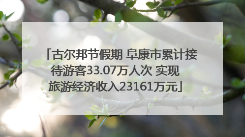 古尔邦节假期 阜康市累计接待游客33.07万人次 实现旅游经济收入23161万元