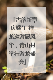 古韵新章庆端午 祥龙巡游展风华，青山村举行游龙盛会