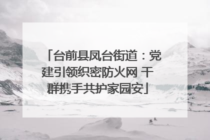 台前县凤台街道：党建引领织密防火网 干群携手共护家园安