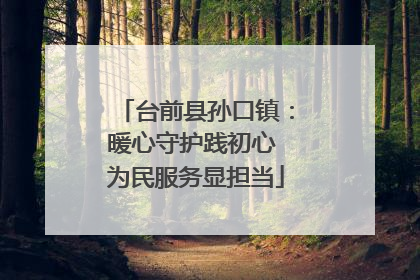 台前县孙口镇：暖心守护践初心 为民服务显担当