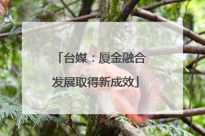 台媒：厦金融合发展取得新成效