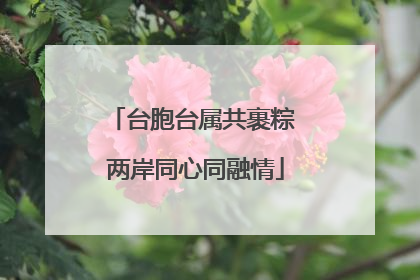 台胞台属共裹粽 两岸同心同融情