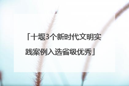 十堰3个新时代文明实践案例入选省级优秀