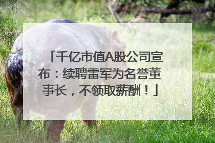 千亿市值A股公司宣布：续聘雷军为名誉董事长，不领取薪酬！