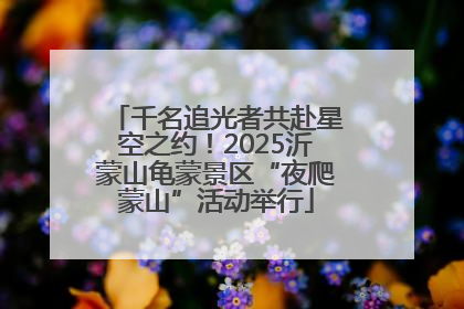 千名追光者共赴星空之约！2025沂蒙山龟蒙景区“夜爬蒙山”活动举行