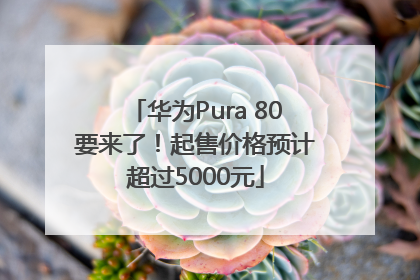 华为Pura 80要来了！起售价格预计超过5000元
