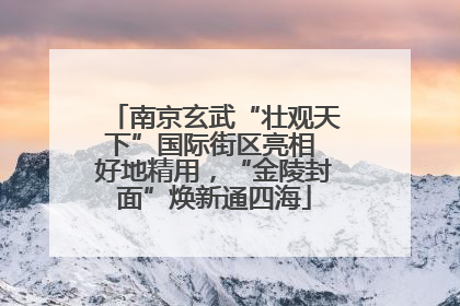 南京玄武“壮观天下”国际街区亮相 好地精用，“金陵封面”焕新通四海