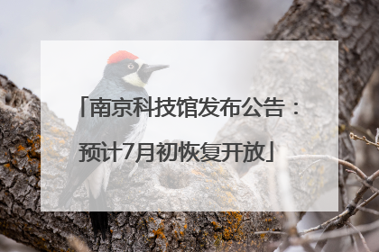 南京科技馆发布公告：预计7月初恢复开放