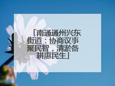 南通通州兴东街道：协商议事聚民智，清淤备耕惠民生