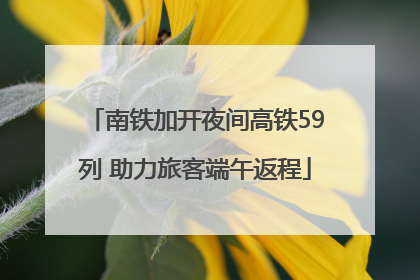 南铁加开夜间高铁59列 助力旅客端午返程