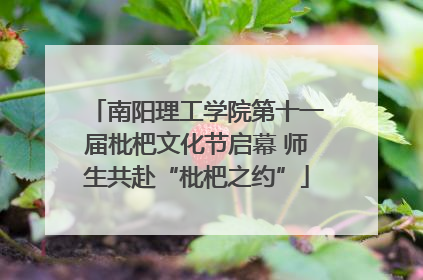 南阳理工学院第十一届枇杷文化节启幕 师生共赴“枇杷之约”