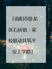 南阳市卧龙区石桥镇：家校联动共筑平安上学路