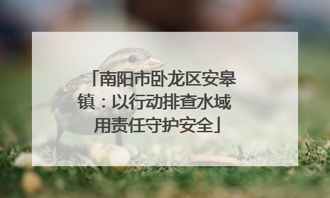 南阳市卧龙区安皋镇：以行动排查水域 用责任守护安全