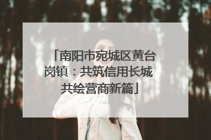 南阳市宛城区黄台岗镇：共筑信用长城 共绘营商新篇