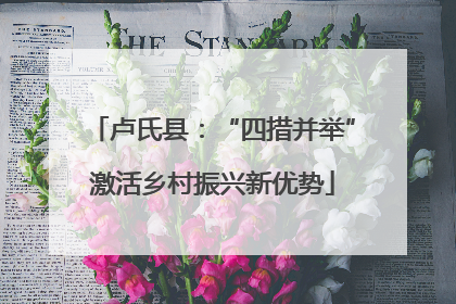 卢氏县：“四措并举”激活乡村振兴新优势