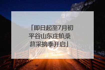 即日起至7月初 平谷山东庄镇桑葚采摘季开启