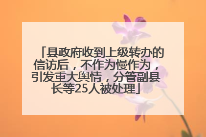 县政府收到上级转办的信访后，不作为慢作为，引发重大舆情，分管副县长等25人被处理