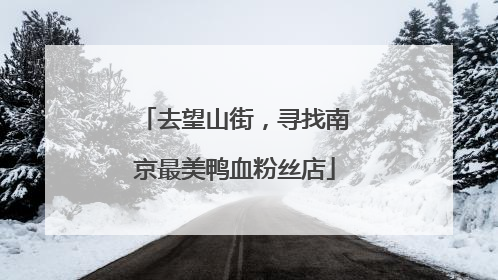 去望山街，寻找南京最美鸭血粉丝店