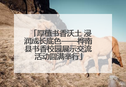 厚植书香沃土 浸润成长底色——桦南县书香校园展示交流活动圆满举行