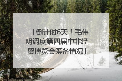 倒计时6天！毛伟明调度第四届中非经贸博览会筹备情况