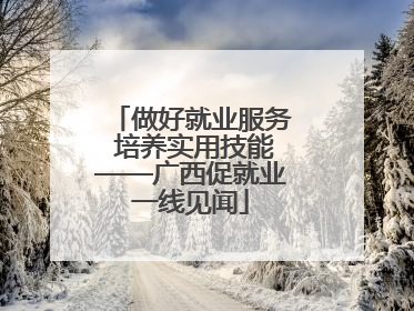 做好就业服务 培养实用技能——广西促就业一线见闻