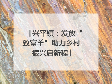 兴平镇：发放“致富羊”助力乡村振兴启新程