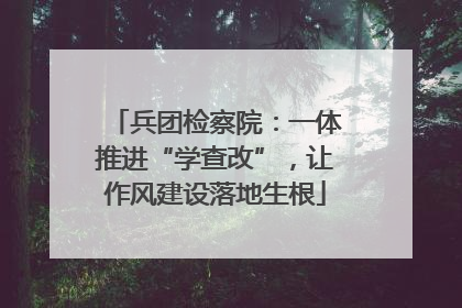 兵团检察院：一体推进“学查改”，让作风建设落地生根
