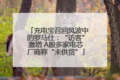 充电宝召回风波中的罗马仕：“访客”激增 A股多家电芯厂商称“未供货”